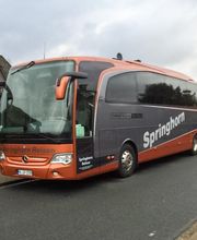 Springhorn Reisen Bild 6