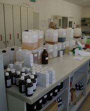 Heilpraktiker Prof. E.h. Iwailo Schmidt BGU Dresden Bild 2