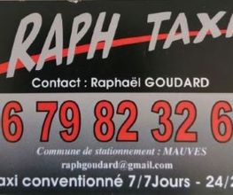 Raph Taxi image 7