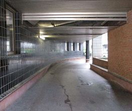 Zenpark image 5