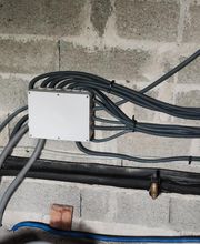 Flant Nicolas image 5