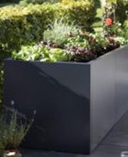 Colombo Gärten GmbH Bild 6