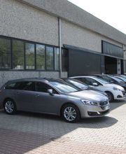 Gallery Cliente