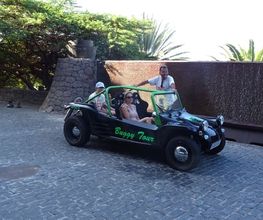 _copie-0_DSC01186.jpg