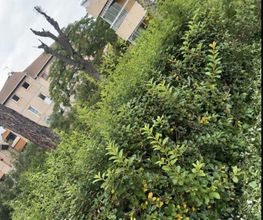 YAJ'GARDEN image 3