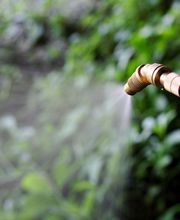 José Manzanares SL imagen 4