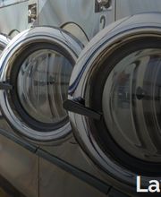 Senteur Corbeille image 3