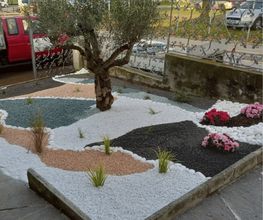 Vivai San Martino Bild 8