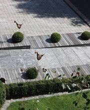 Heiniger + Steinmann GmbH Bild 3