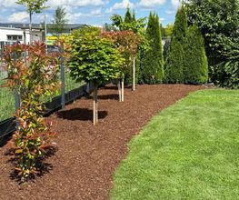 Daily Gartenpflege Bild 6