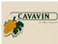 CAVAVIN