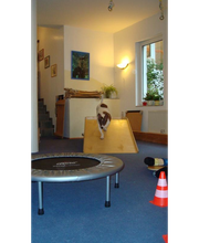 Ergotherapie Kley Viola Bild 7