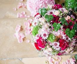 Blumen Krippner Bild 12