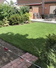 Baum&Gartenservice Meier Bild 4