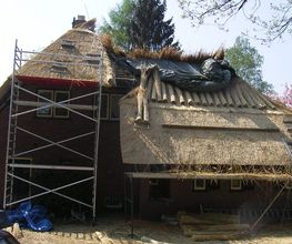 Ginkel Rietdekkersbedrijf Reinald van