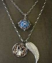 Theiler Markus Bild 1