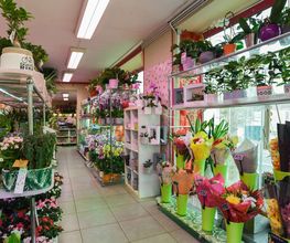 Le Langage Des Fleurs image 16