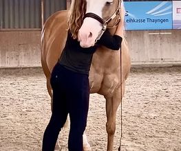 dmriding Pferdetraining Ostschweiz Bild 5