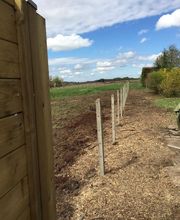 Bordet/Hérault Elagage image 4