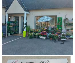 Les Fees Nature image 2