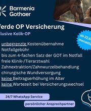 Mein Pferdeversicherer Bild 1