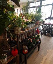 Lys'toire d'une fleur image 3