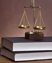 Treins Poulet Vian & Associés image 5