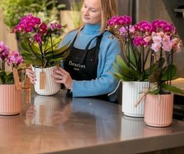 Fleuriot Fleurs, Fleuriste Gare O'Vives Bild 11