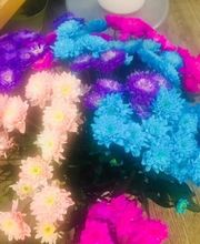 La Boite A Fleurs image 6