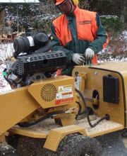 Baumpflege Hofstetter GmbH Bild 5