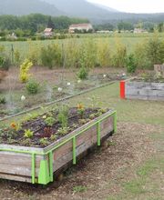 Jardin école bio image 4