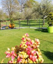 SUISSE VERTE PAYSAGE image 2