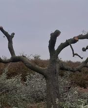 EMPRESADETALATARRAGONA.jpg