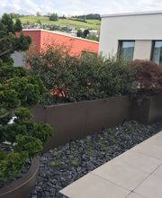 Peter Staub AG Bild 5