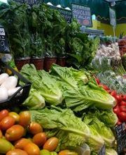 Todis - Supermercato (Aranova - Via Arturo Pompeati Luchini) immagine 8