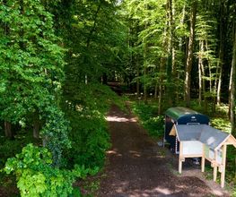 FriedWald Ohetal Bild 10