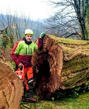 Daniels Baum- & Gartenservice Bild 12