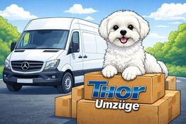 Thor Umzüge