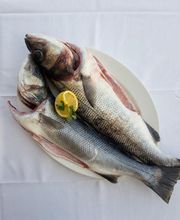macha-pescaito-sl-pescado-fresco-05.jpg