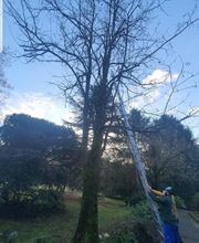 Renard Dianni image 14