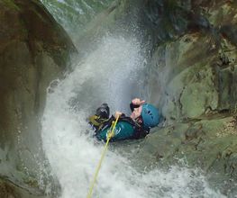 GECCO Aventure image 6