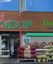 Houten Welkoop NIEUW