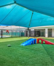 Pet Paradise Pooler image 8