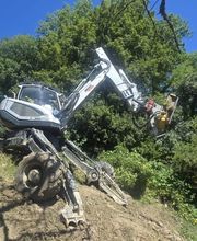 Passion Forêt SA Bild 10