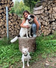 Mano Vita - Massagepraxis Bild 6