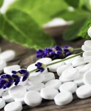 Naturheilpraxis Millefolium Bild 9