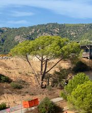 CORSE ELAGAGE image 9