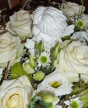 Blumen Villiger GmbH Bild 5