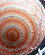 NOVA Shoppingcenter Bild 3