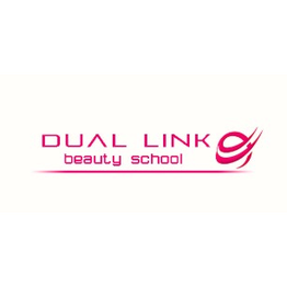 Dual Link logo